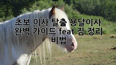 📦 초보 이사 탈출! 용달이사 완벽 가이드 (feat. 짐 정리 비법)